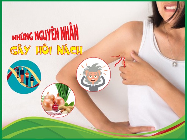 LOẠI BỎ HÔI NÁCH BẰNG KEM ĐÁNH RĂNG CỰC DỄ, NẶNG MẤY CŨNG KHỎI